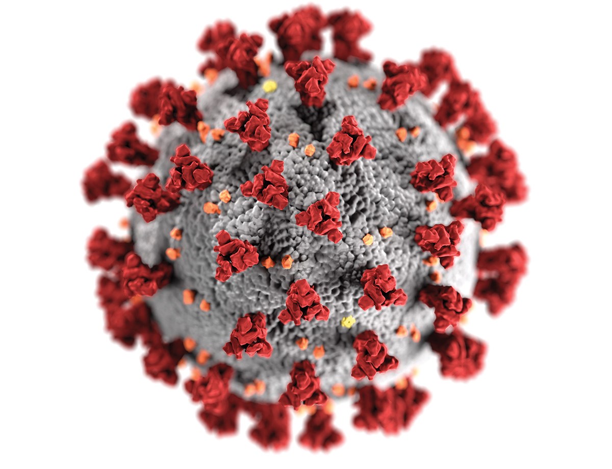 Image of the corona virus from the CDC.