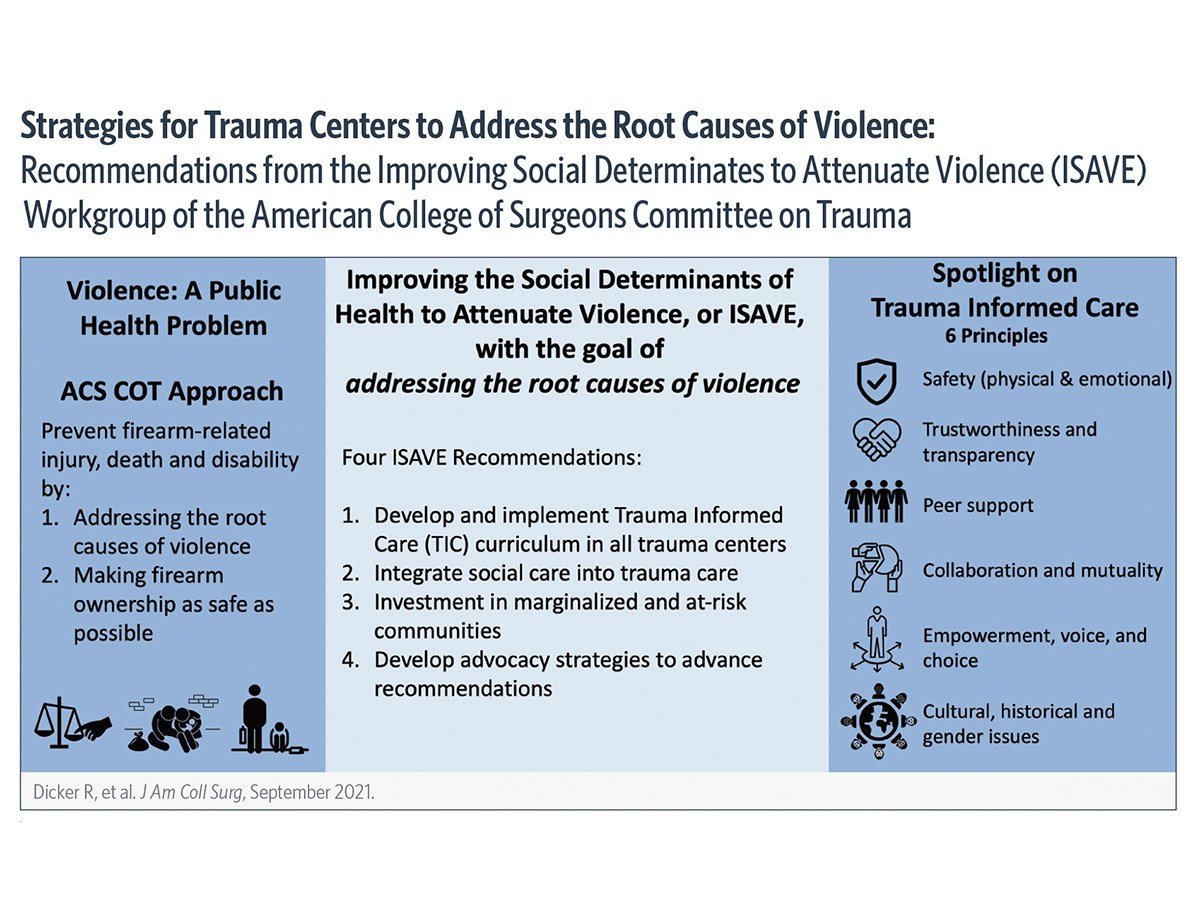 ISAVE graphic listing strategies to address the root causes of violence.