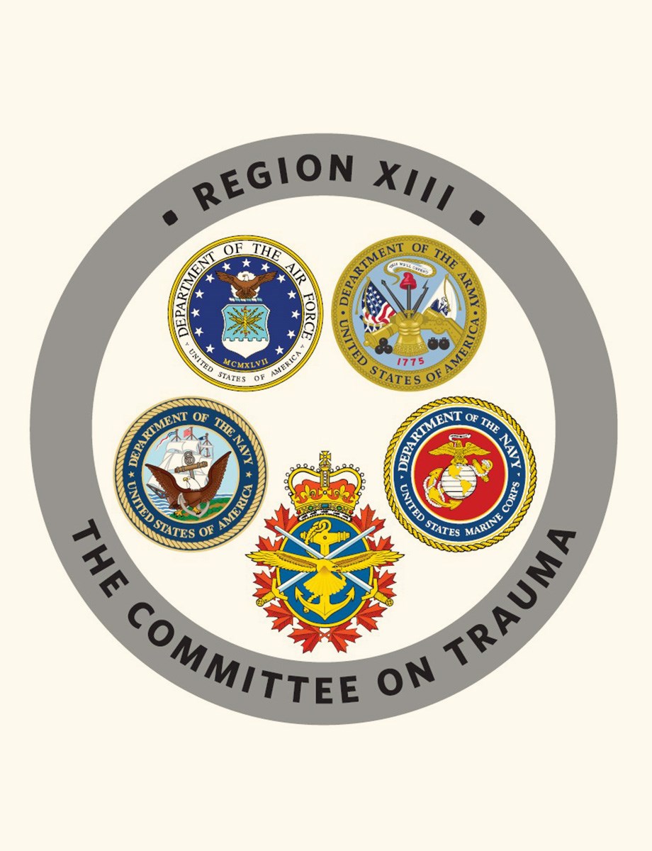 Photo of Military Region 13 challenge coin.